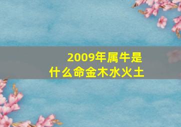 2009年属牛是什么命金木水火土