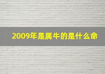 2009年是属牛的是什么命