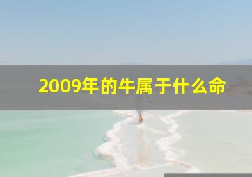 2009年的牛属于什么命