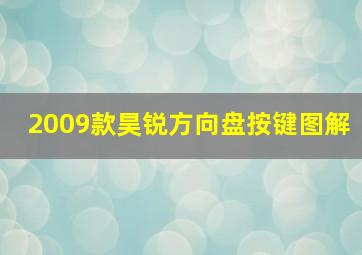 2009款昊锐方向盘按键图解