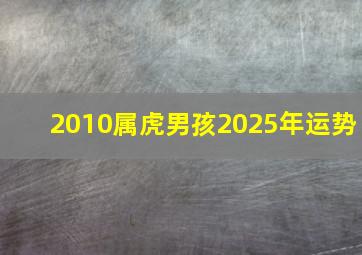 2010属虎男孩2025年运势