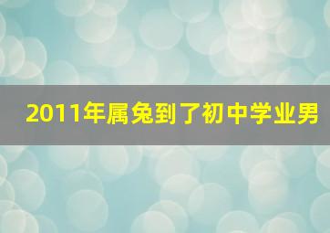 2011年属兔到了初中学业男