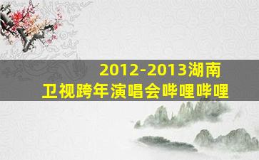 2012-2013湖南卫视跨年演唱会哔哩哔哩