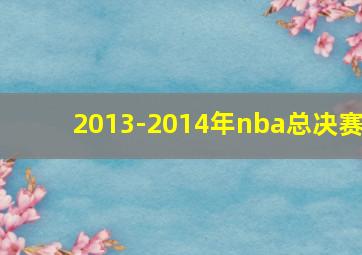 2013-2014年nba总决赛