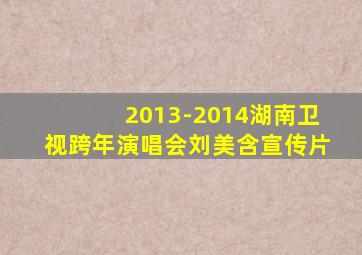 2013-2014湖南卫视跨年演唱会刘美含宣传片