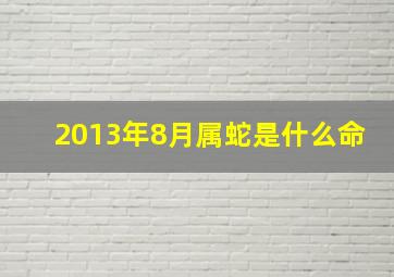 2013年8月属蛇是什么命