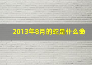 2013年8月的蛇是什么命