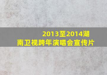 2013至2014湖南卫视跨年演唱会宣传片