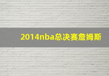 2014nba总决赛詹姆斯