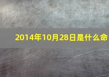 2014年10月28日是什么命