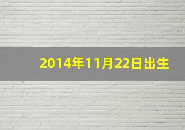 2014年11月22日出生