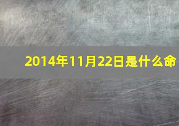 2014年11月22日是什么命