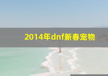 2014年dnf新春宠物