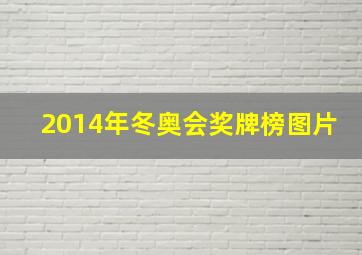 2014年冬奥会奖牌榜图片