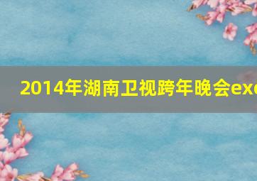 2014年湖南卫视跨年晚会exo