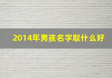 2014年男孩名字取什么好