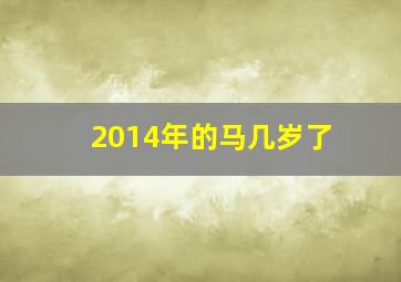 2014年的马几岁了