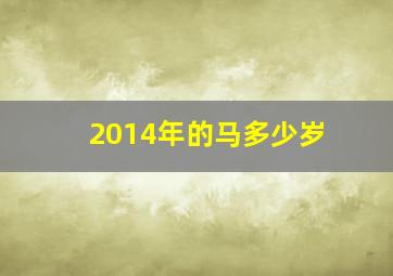 2014年的马多少岁