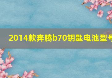 2014款奔腾b70钥匙电池型号