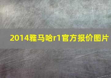 2014雅马哈r1官方报价图片