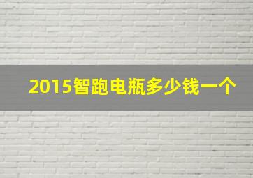 2015智跑电瓶多少钱一个