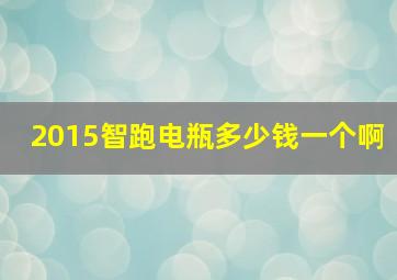 2015智跑电瓶多少钱一个啊