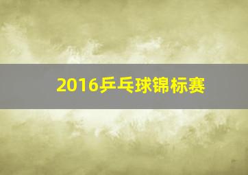 2016乒乓球锦标赛