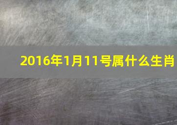 2016年1月11号属什么生肖