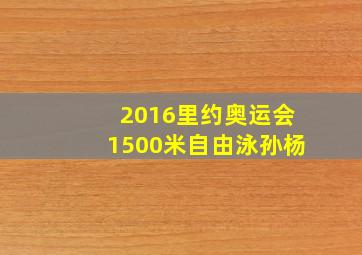 2016里约奥运会1500米自由泳孙杨