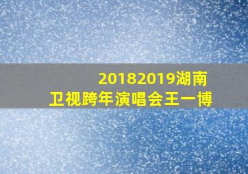 20182019湖南卫视跨年演唱会王一博