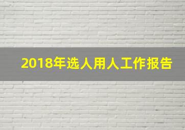 2018年选人用人工作报告