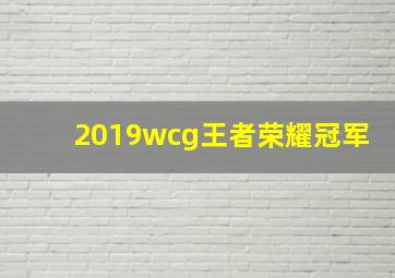 2019wcg王者荣耀冠军