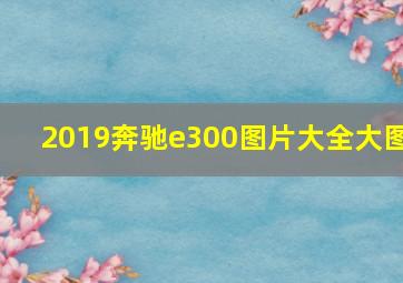 2019奔驰e300图片大全大图