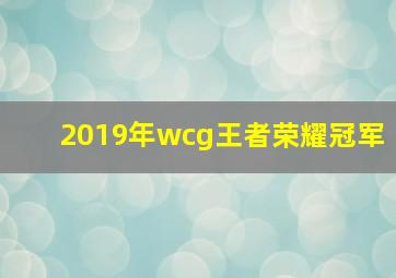 2019年wcg王者荣耀冠军