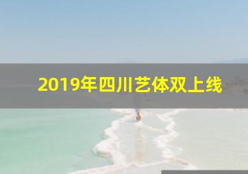 2019年四川艺体双上线