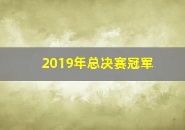 2019年总决赛冠军