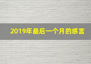 2019年最后一个月的感言