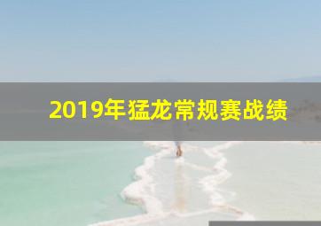 2019年猛龙常规赛战绩