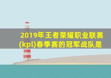 2019年王者荣耀职业联赛(kpl)春季赛的冠军战队是