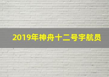 2019年神舟十二号宇航员