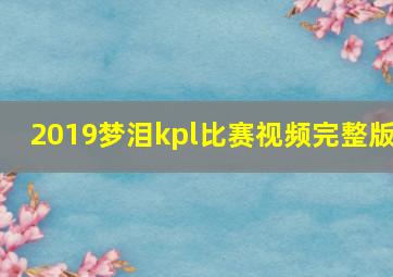 2019梦泪kpl比赛视频完整版