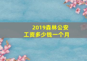 2019森林公安工资多少钱一个月