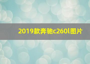 2019款奔驰c260l图片