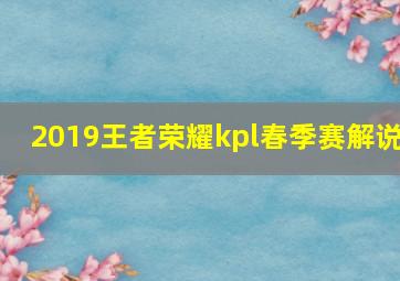 2019王者荣耀kpl春季赛解说