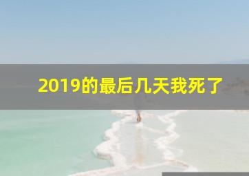 2019的最后几天我死了