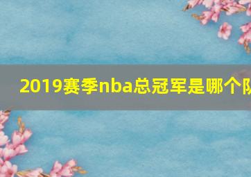 2019赛季nba总冠军是哪个队