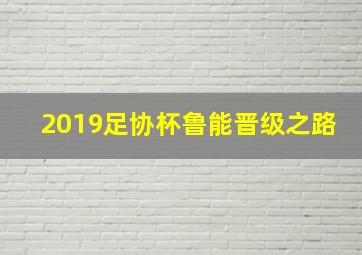 2019足协杯鲁能晋级之路