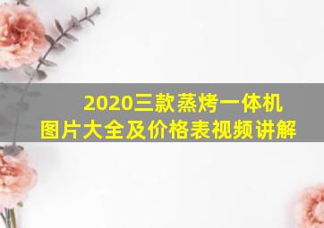 2020三款蒸烤一体机图片大全及价格表视频讲解