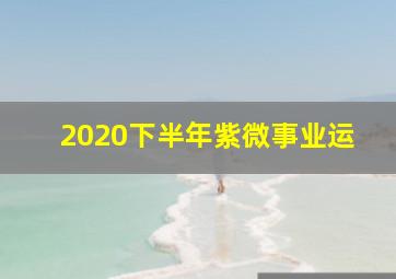 2020下半年紫微事业运