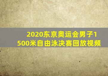 2020东京奥运会男子1500米自由泳决赛回放视频